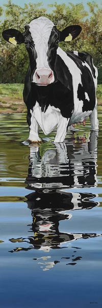 Panoramic Vertical: Cow In A Creek by Clara Bastian