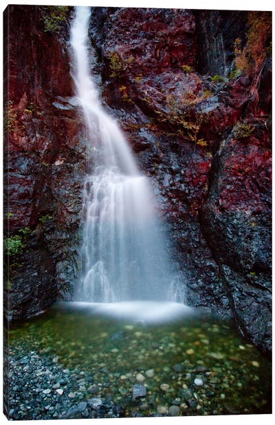 Waterfall In Creek Along Gold River Highway, Vancouver Island, Canada Canvas Art Print