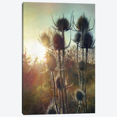 Parklife Canvas Print #BTV22} by beware the void Canvas Print