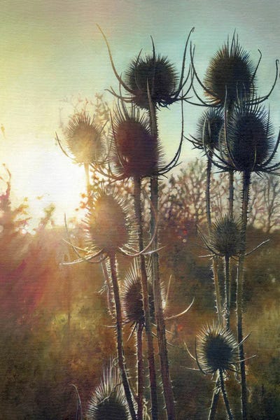 beware the void: Parklife by beware the void