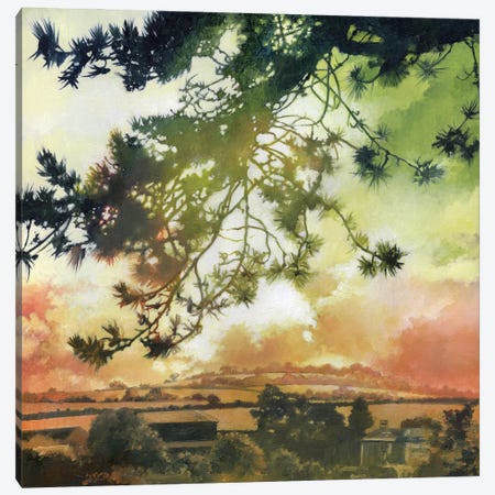 Corsican Pine Canvas Print #BTV5} by beware the void Canvas Artwork