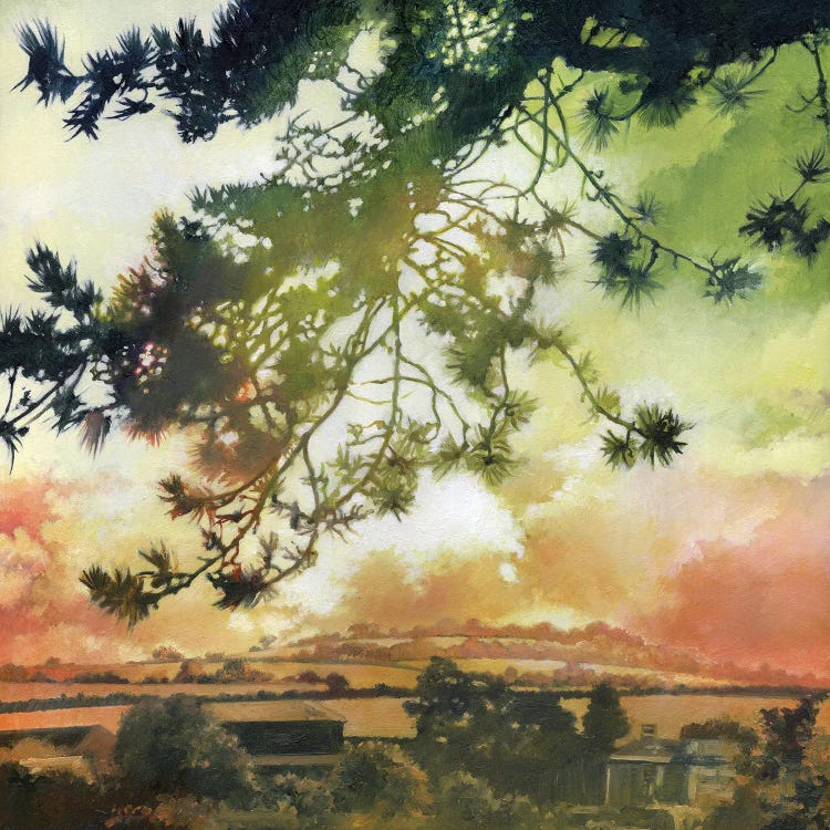Corsican Pine by beware the void wall art