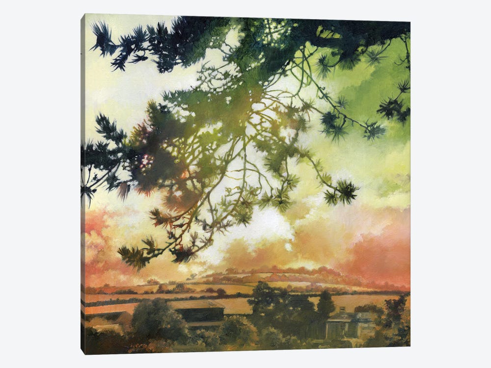 Corsican Pine by beware the void 1-piece Canvas Art