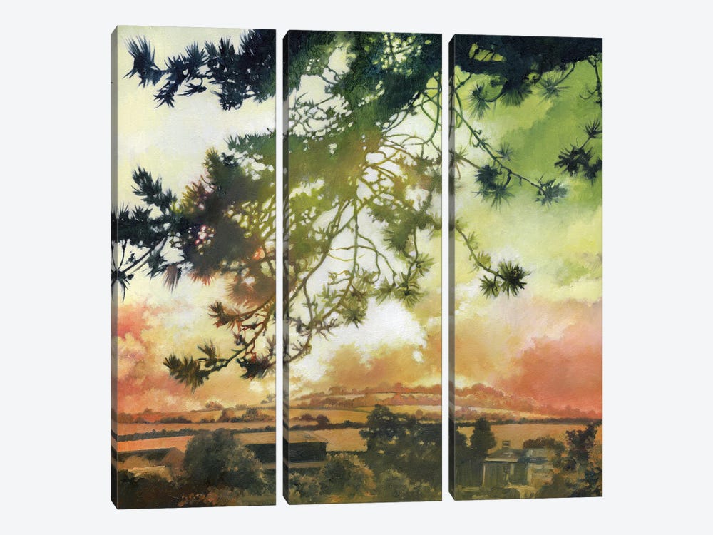 Corsican Pine by beware the void 3-piece Canvas Art