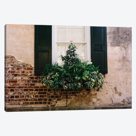 Charleston Walls IX Canvas Print #BTY1010} by Bethany Young Canvas Art
