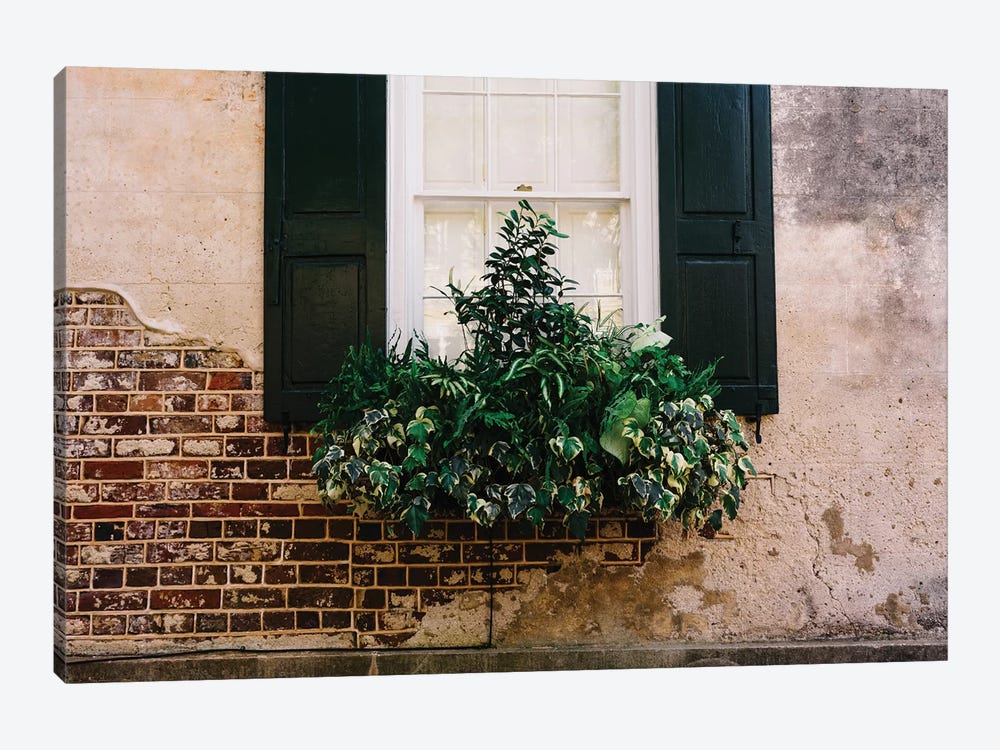 Charleston Walls IX by Bethany Young 1-piece Canvas Artwork