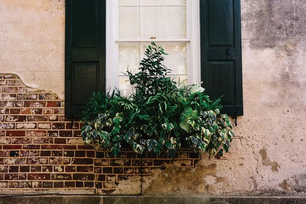 Charleston: Charleston Walls IX by Bethany Young