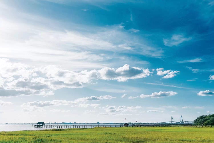 Charleston's Pitt Street Bridge II