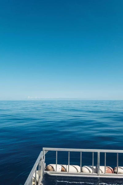 Shark Swim by Bethany Young canvas print