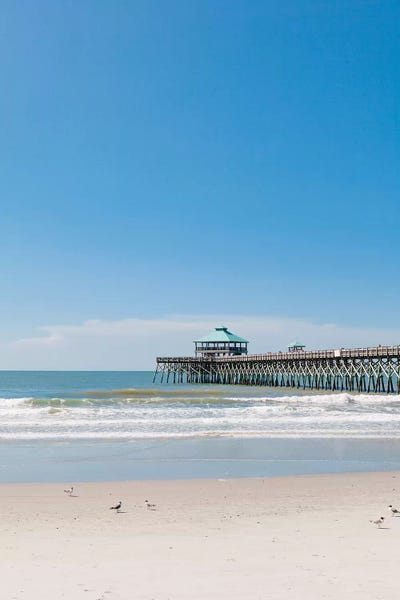 Charleston: Folly Beach III by Bethany Young