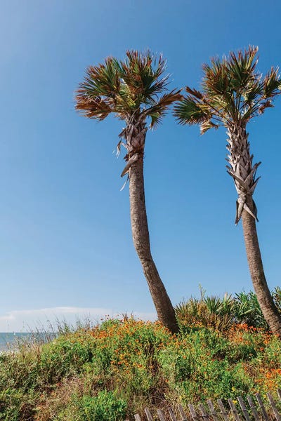 South Carolina: Folly Beach by Bethany Young