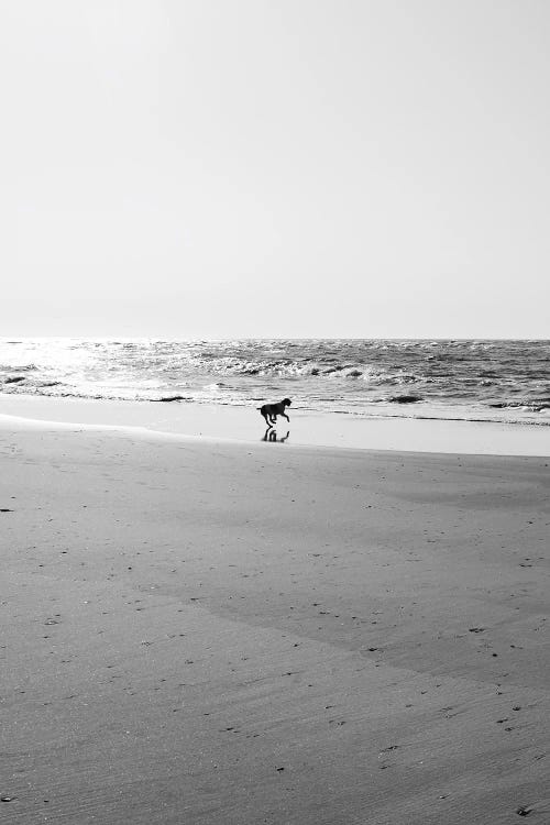 Sullivan's Island IX