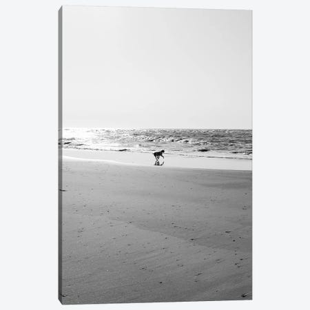 Sullivan's Island IX Canvas Print #BTY1041} by Bethany Young Canvas Art Print