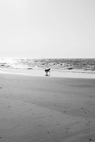 South Carolina: Sullivan's Island IX by Bethany Young