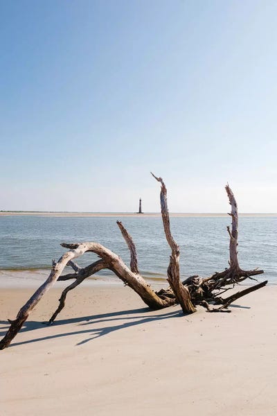 Charleston: Sullivan's Island XIII by Bethany Young