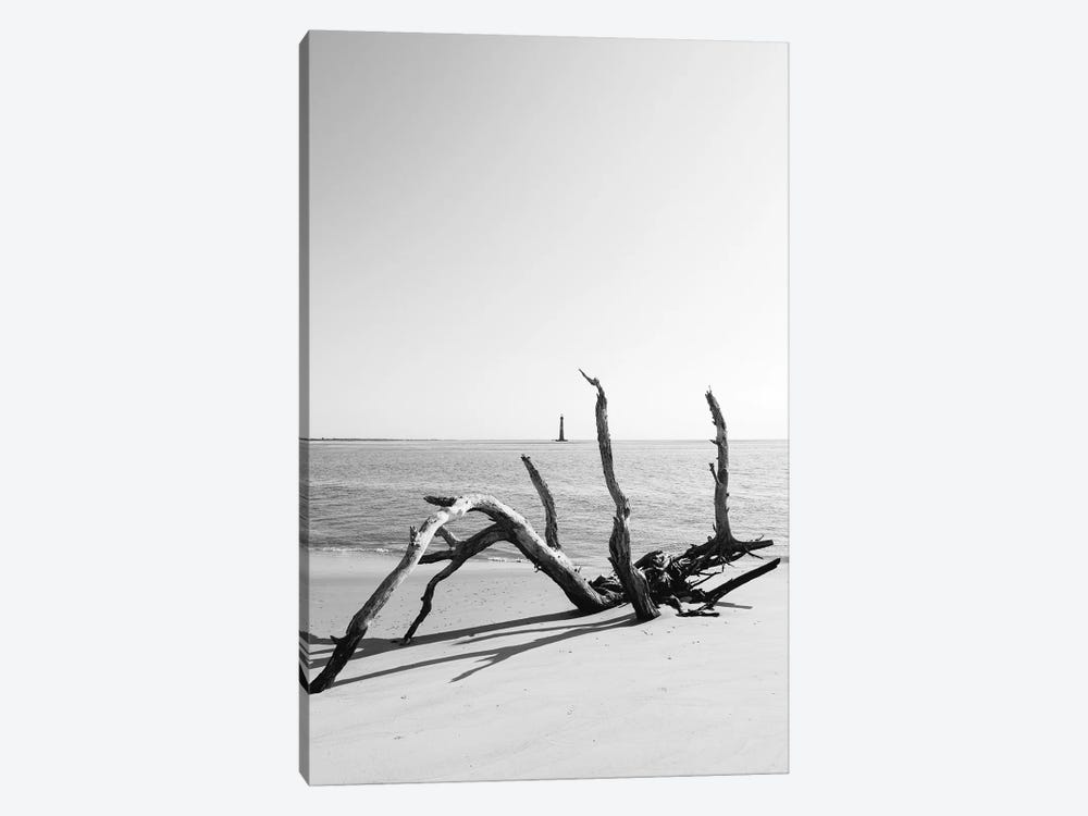 Sullivan's Island XIV by Bethany Young 1-piece Canvas Art