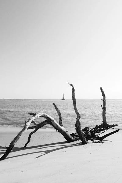 South Carolina: Sullivan's Island XIV by Bethany Young