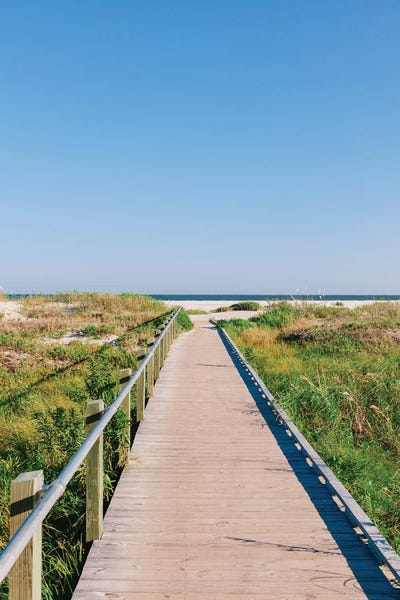 Charleston: Sullivan's Island XXX by Bethany Young
