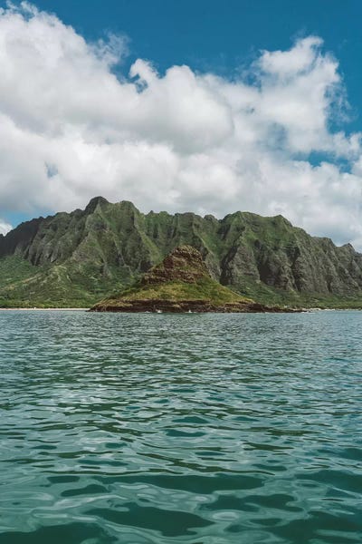 Honolulu: Mokoli'i II by Bethany Young