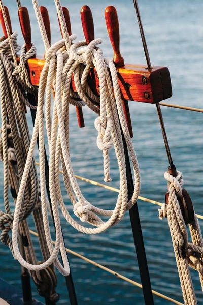South Carolina: Charleston Sailboat II by Bethany Young