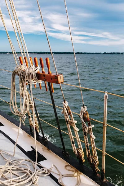 South Carolina: Charleston Sailboat IV by Bethany Young