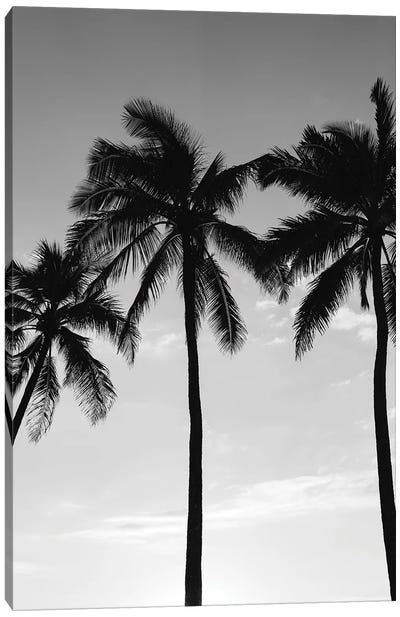 Hawaiian Palms III Canvas Art Print - Beach Sunrise & Sunset Art