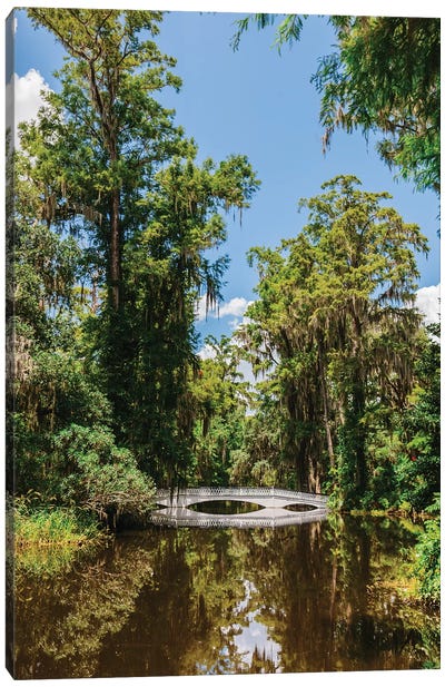 Charleston's Magnolia Plantation V Canvas Art Print - Marsh & Swamp Art