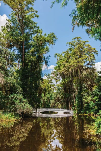 South Carolina: Charleston's Magnolia Plantation V by Bethany Young