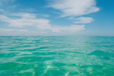 Florida Water III by Bethany Young canvas print