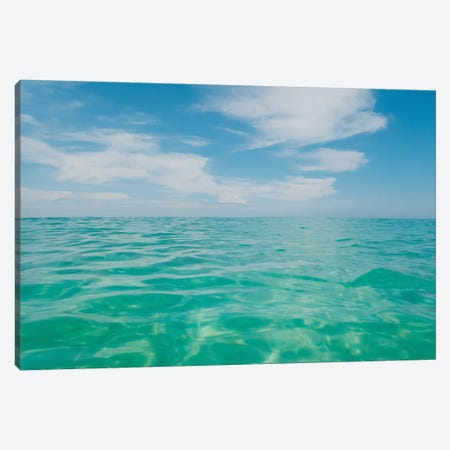 Florida Water III Canvas Print #BTY1095} by Bethany Young Canvas Print