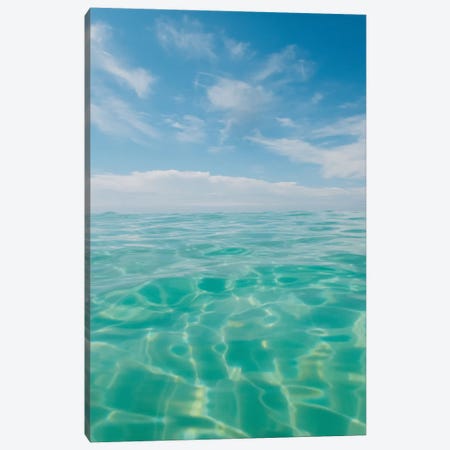 Florida Water IV Canvas Print #BTY1096} by Bethany Young Canvas Art Print
