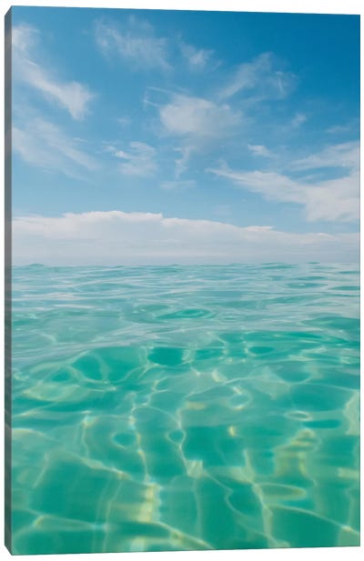 Florida Water IV Canvas Art Print - Bethany Young