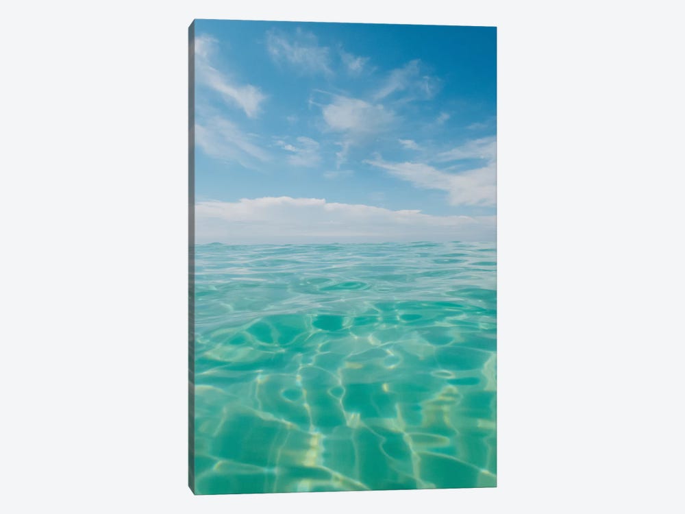 Florida Water IV by Bethany Young 1-piece Canvas Artwork