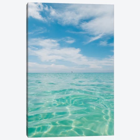 Florida Water V Canvas Print #BTY1097} by Bethany Young Canvas Print