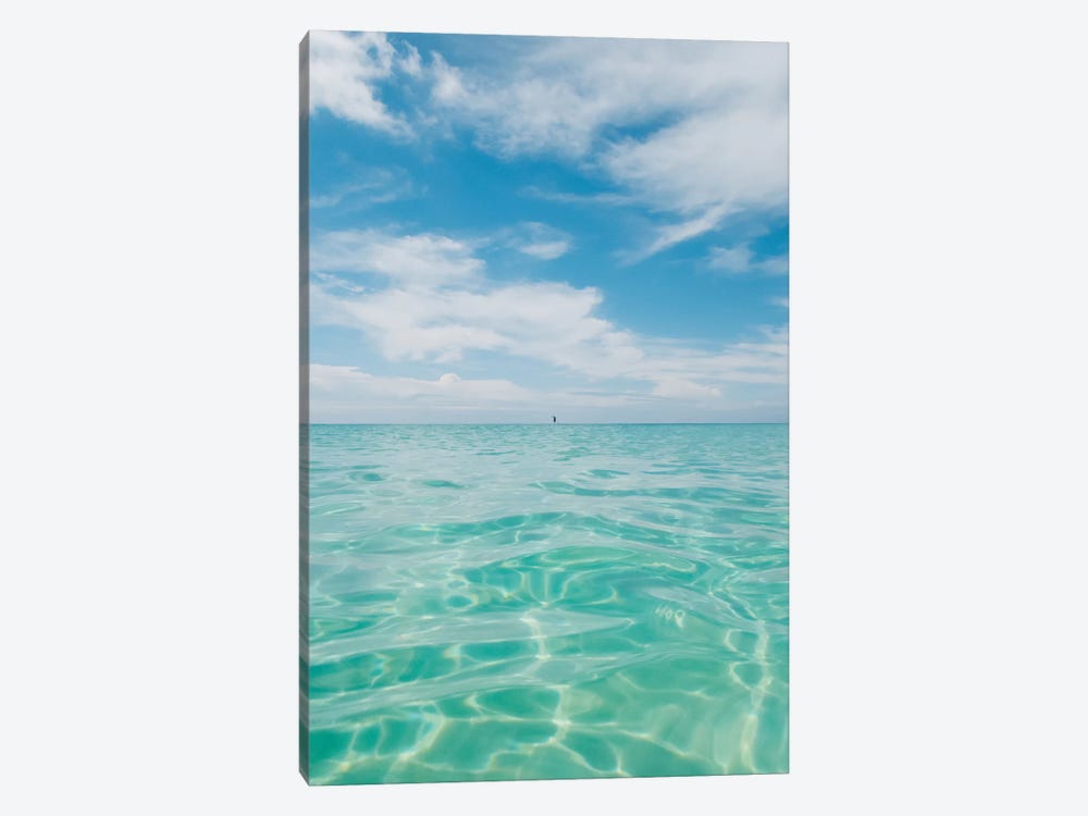 Florida Water V by Bethany Young 1-piece Canvas Print