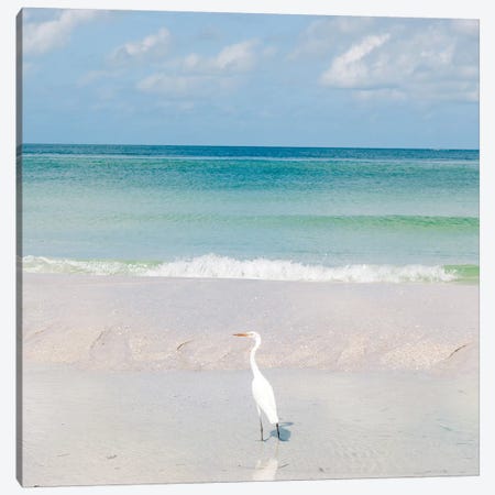 Florida Ocean View VIII Canvas Print #BTY1110} by Bethany Young Art Print