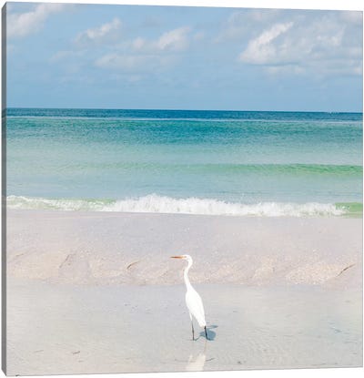 Florida Ocean View VIII Canvas Art Print - Egret Art