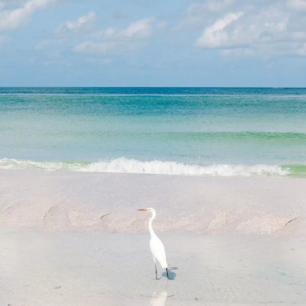 Gulf Of Mexico: Florida Ocean View VIII by Bethany Young