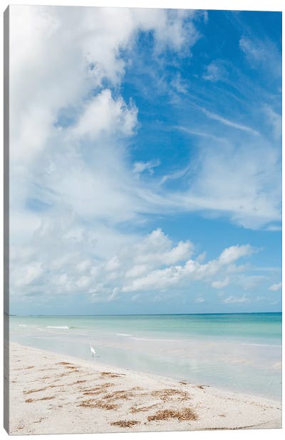 Florida Ocean View X Canvas Art Print - Egret Art