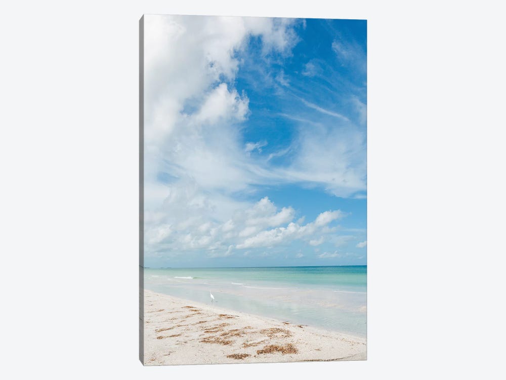 Florida Ocean View X by Bethany Young 1-piece Canvas Artwork