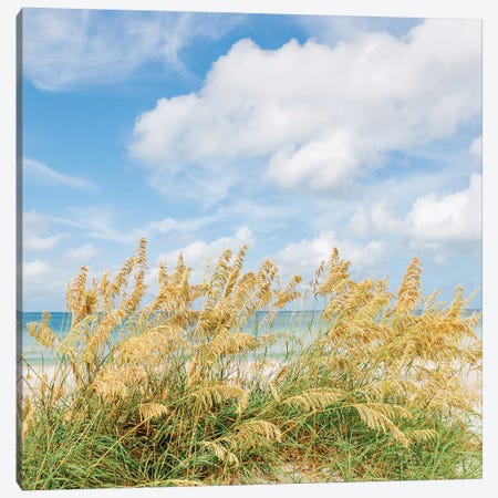 St. Pete Beach II Canvas Print #BTY1113} by Bethany Young Canvas Print