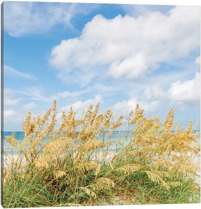 St. Pete Beach II Canvas Art Print - Bethany Young