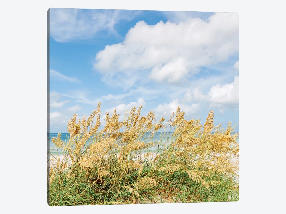 St. Pete Beach II by Bethany Young 1-piece Canvas Wall Art