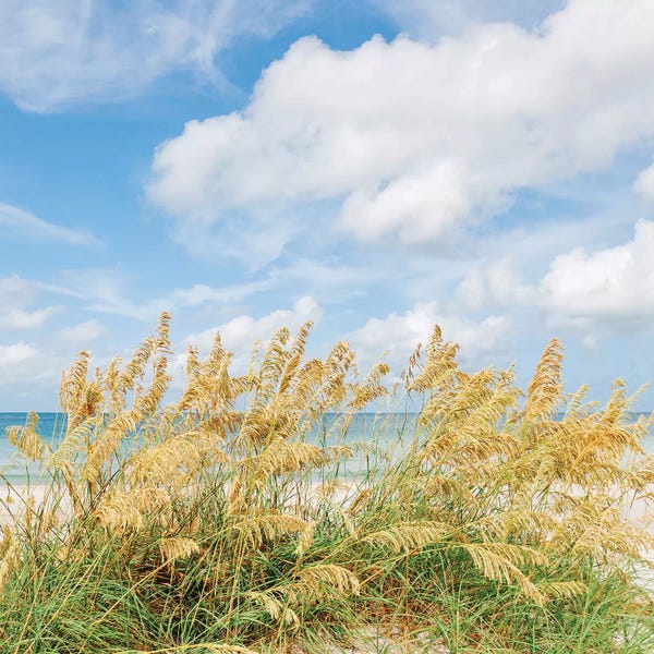Gulf Of Mexico: St. Pete Beach II by Bethany Young