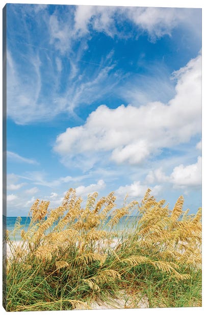 St. Pete Beach III Canvas Art Print - Bethany Young