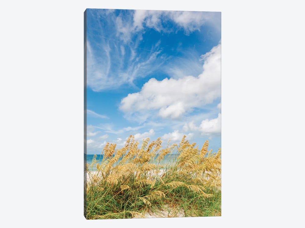 St. Pete Beach III by Bethany Young 1-piece Art Print
