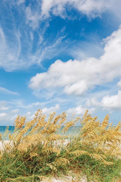 Gulf Of Mexico: St. Pete Beach III by Bethany Young