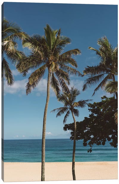 Hawaiian Palms VI Canvas Art Print - Island Art