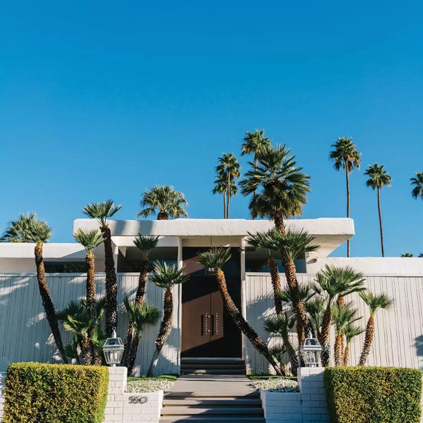 Palm Springs: Palm Springs Architecture by Bethany Young