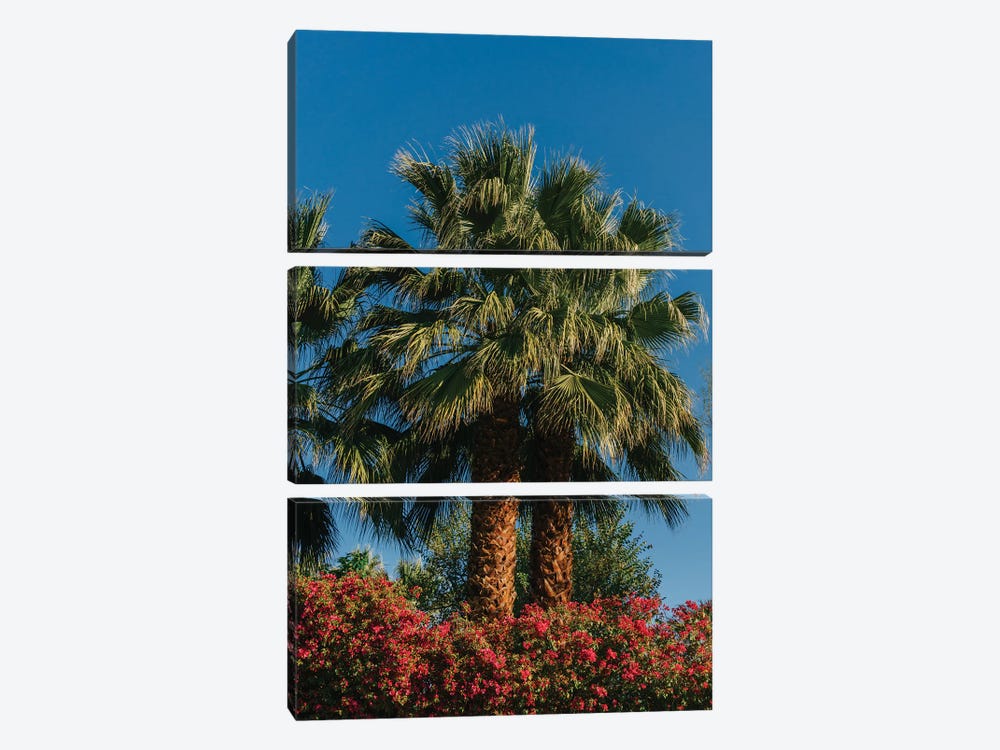 Palm Springs Palms II by Bethany Young 3-piece Art Print